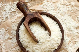 تولید برنج ۱۰ درصد افزایش می‌یابد