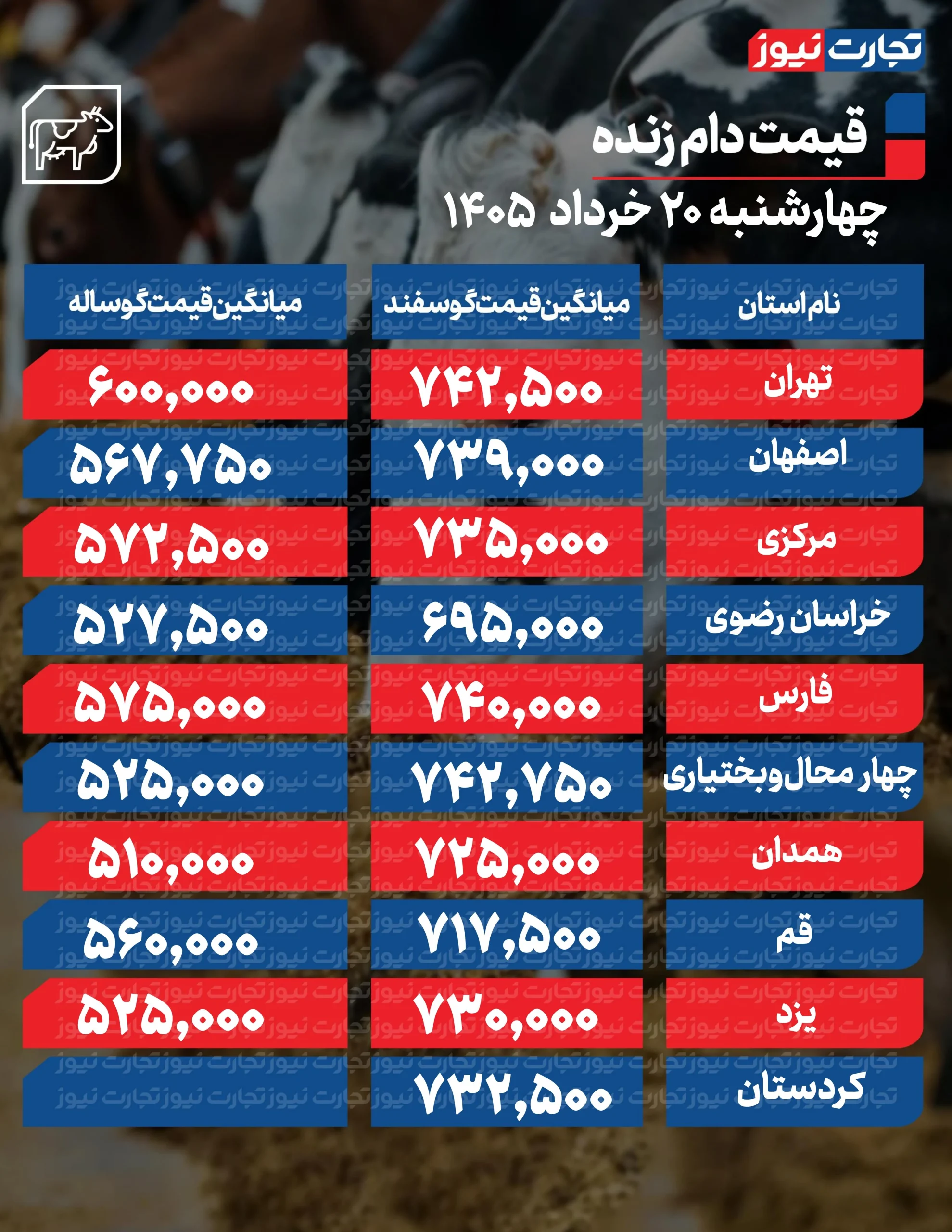 قیمت دام امروز 