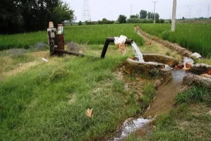 قطع برق بخش کشاورزی خسارت ۱۰ تا ۷۰ درصدی بر تولید محصولات اساسی وارد می‌کند