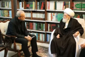 آیت‌الله نوری همدانی در دیدار با پزشکیان: نباید کسانی که در میدان مذاکره فعالیت می‌کنند، تضعیف شوند یا مورد اهانت قرار گیرند