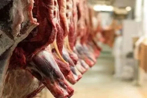 چند راهکار برای کاهش فوری قیمت گوشت قرمز