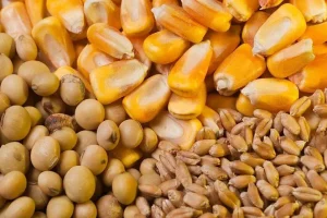 مطالبات ارزی واردکنندگان ۴ میلیارد یورو است