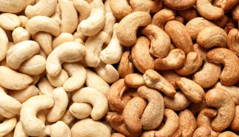 با 5 خاصیت فوق‌العاده بادام هندی آشنا شوید + مزایای آن برای همه سنین