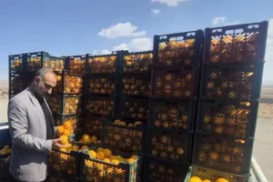 محدودیت واردات کالاهای کشاورزی با ارز اشخاص برداشته شد