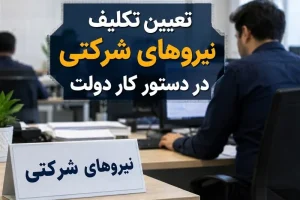 رفیع‌زاده: حذف شرکت‌های واسطه بدون اصلاح قانون امکان‌پذیر نیست