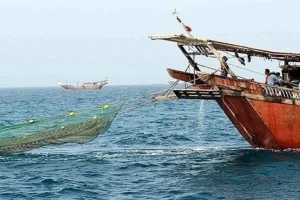شناور حامل سه تن صید ترال در آب‌های استان بوشهر توقیف شد