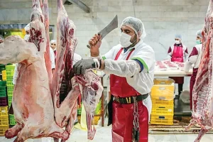 نرخ منطقی هر کیلو گوشت گوسفندی یک میلیون و ۶۰۰ هزار تومان
