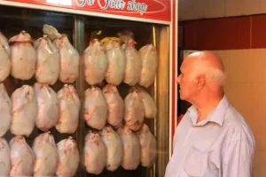 معمای بی‌نیازی بازار به واردات گوشت مرغ