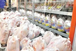 قیمت جدید مرغ در بازار