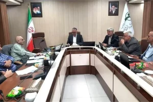 واریز مطالبات بیمه تکمیلی بازنشستگان آغاز شد +جزئیات