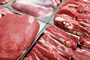 بازار دام در رکود به سر می‌برد / قیمت دام زنده کاهشی است