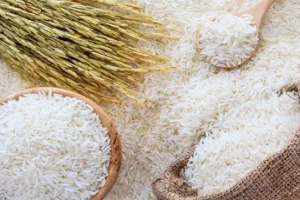تولید برنج به ۲ میلیون و ۳۰۰ هزار تن می‌رسد