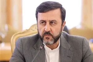 تشریح بندهای بیانیه اجلاس سران بریکس توسط غریب آبادی