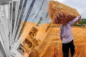 واریز ۷۳.۴ همت دیگر از مطالبات گندم‌کاران کشور