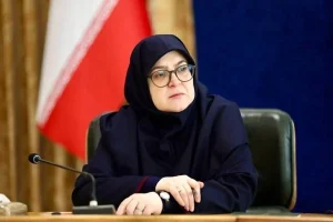۲۳۰ میلیون مترمکعب گاز ما در جنگ از دست رفت