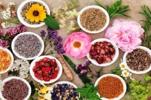 صادرات ۲۹ هزار تن گیاهان دارویی به اتحادیه اروپا