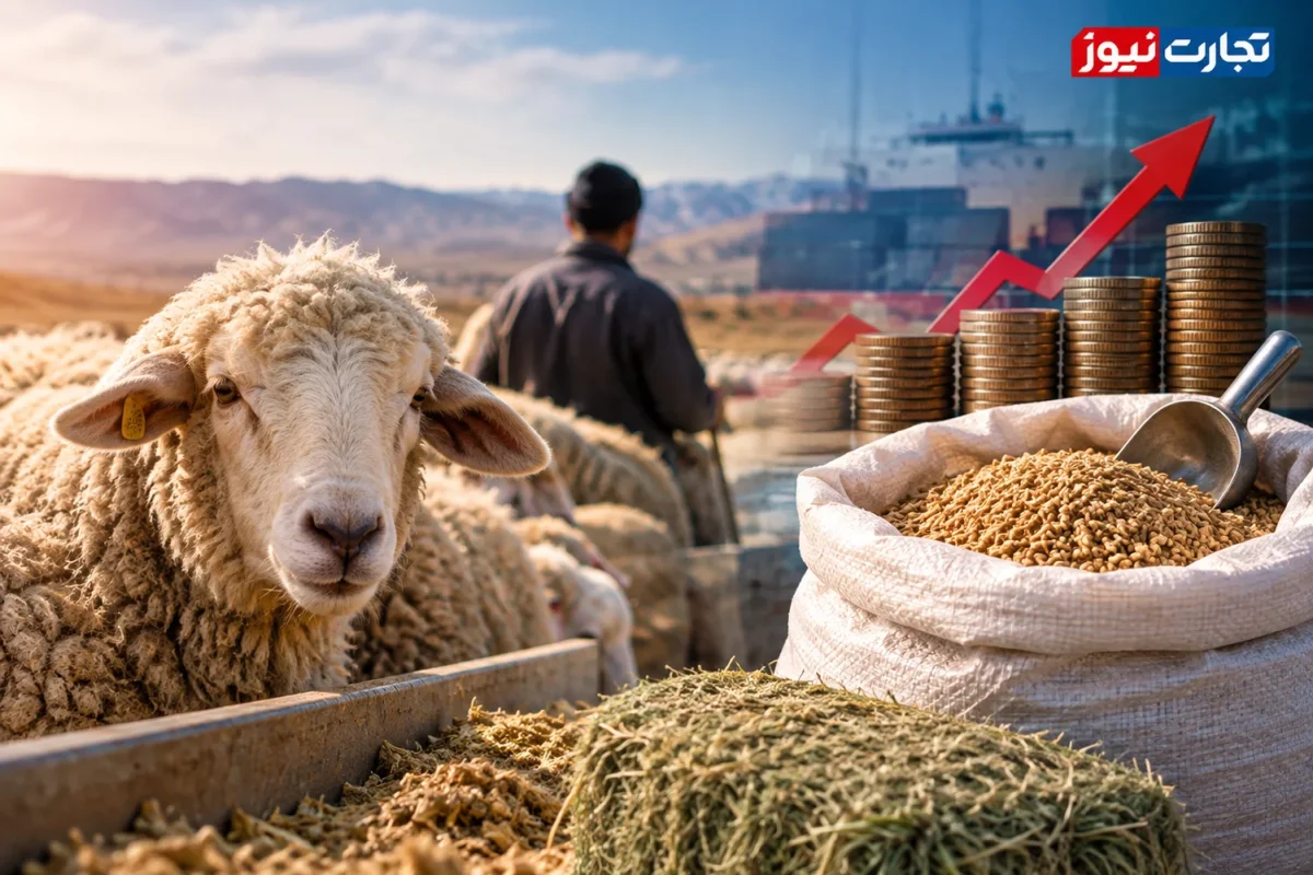 دامدار در نیمه دوم سال نگران تأمین نهاده است / قیمت دام افزایش هزینه‌ها را جبران نمی‌کند