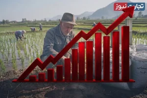 نرخ کود ۱۴ برابر شده است / قیمت برنج ۴۰۰ هزار تومانی برای کشاورز سود مناسبی ندارد