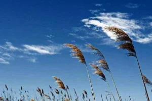 آسمان صاف در اغلب مناطق کشور/ بارش پراکنده در استان‌های ساحلی خزر