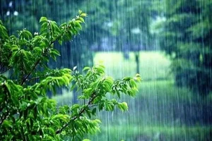 توصیه کارشناس هواشناسی به کشاورزان برای ۴ روز آینده