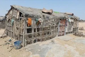 «سوخت‌بری» تنها راه نان درآوردن/ اینجا درمانگاه و آب  لوله‌کشی نیست/ جوانان چانف در حاشیه شهرها فعلگی می‌کنند