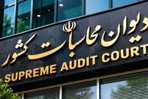 شناسایی ۹۵ نهاد شورایی برای انحلال یا ادغام