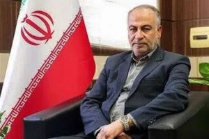 شناسایی 4300 فرار مالیاتی با اجرای تبصره ماده 100
