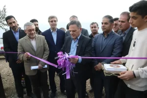 بزرگترین باغ زیتون کشور در زنجان افتتاح شد