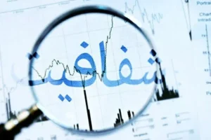 شرکت‌های دولتی را ایجاد کردند که مشکلات دولت را حل کند اما حتی در برابر دولت پاسخگو هم نیستند؛ شفافیت هم ندارند