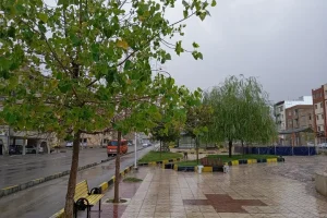 بارش پراکنده در تهران از شنبه