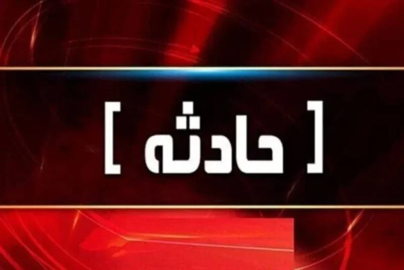 آتش‌سوزی چند درخت در حوالی ورزشگاه انقلاب/ بی‌احتیاطی کارگران ساختمانی سبب آتش سوزی شد