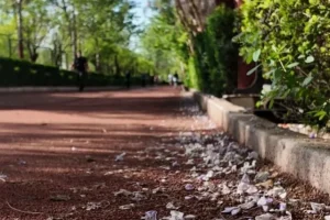 آتش سوزی مجموعه ورزشی انقلاب خسارت جانی و مالی نداشت