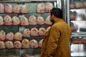«حداقل دستمزد کارگران» پول ۱.۵ کیلو مرغ است / سبد معیشت به ۱۰۰ میلیون تومان رسید